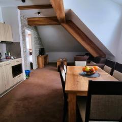 FEMI 503, Župa Aparthotel, Kopaonik