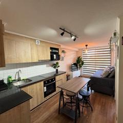 Departamento downtown inn - Chillan Factura Empresas - Parking - wifi