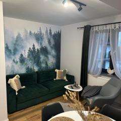 Apartament Koko Białka Tatrzańska