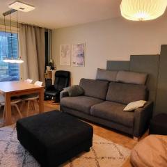 Cosy Big 2 room apartment