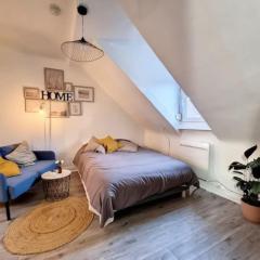 Cosy Rent Strasbourg saint Florent proche Gare