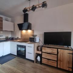 Bel appartement avec piscine - Le Grand Tétras