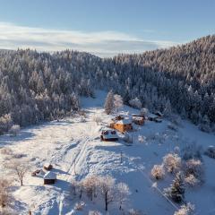 Seosko turističko domaćinstvo Bojovići (Rajkova koliba)