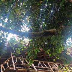 Sierra Tayrona hostel