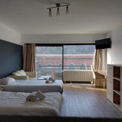 Room in Studio - Value Stay Residence Mechelen - Executive Studio Double