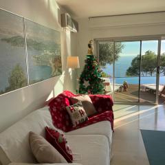 Blueview Villa