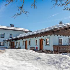 Spacious Apartment in Mittersill with close to Skiing Points