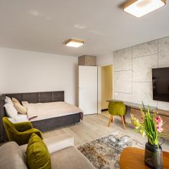 Urban Plaza Alpine Escape Studio with Free Parking, Balcony, Washer & Dryer