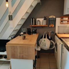 Villa patio moderne avec terrasse et parking à Capbreton - FR-1-239-789