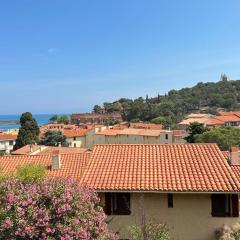 Appartement Collioure, 2 pièces, 4 personnes - FR-1-309-394