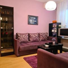 Apartman DONA Ribarska banja