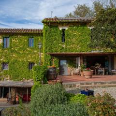 Agriturismo & Winery Il Bacio