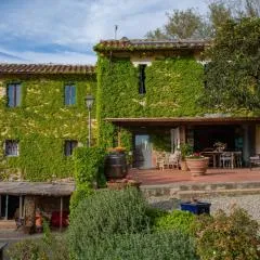 Agriturismo & Winery Il Bacio