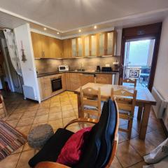 Duplex 6/8 Pers Télécabine des Carroz (ES116)
