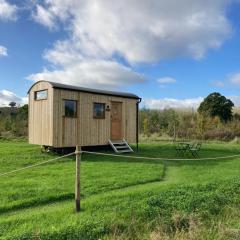 Shepherd's Huts in Barley Meadow at Spring Hill Farm
