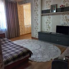 Apartment near the airport - Квартира около аэропорта