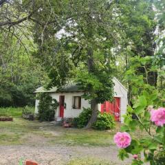 Casa rural junto al Río Chubut (Ty'r Bont) Trelew