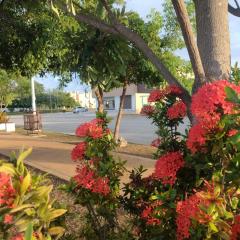 Paxanga Casa Cancunense