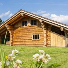 Blockhaus Almhütte Hofblick