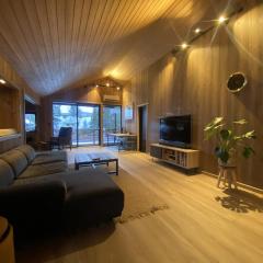 Newly renovated apartment with a central location