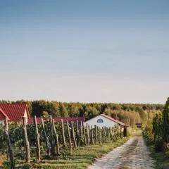 Winnica Mozów