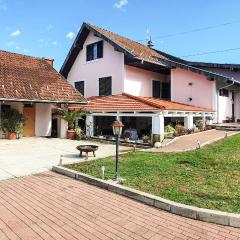 Beautiful Home In Budrovac With Wi-fi