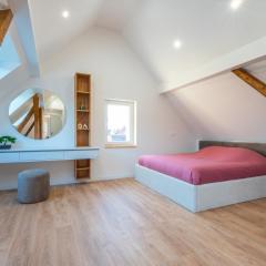 Magnifique maison neuve