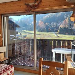 Studio cosy proche des pistes - Animaux admis - FR-1-517-52