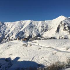 Amazing flat in Gudauri, 5 minutes walk to slopes!