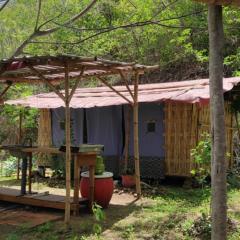 Jungle Glamping Tent Two