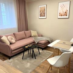 Apartment R&L Lazovná 2 - city center, free private parking