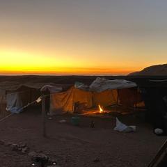 Bedouin home. Stay and guiding