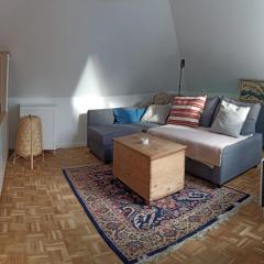 Ruhiges Apartment mit Dachterrasse in Salzburg