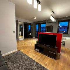 Apartament Włodarzewska