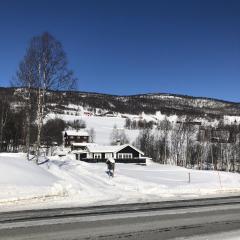 Stugu - Koselig hytte med sentral beliggenhet