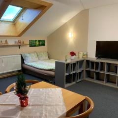 Ferienwohnung Waldbaden im Haus Falkenberg