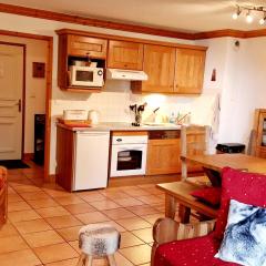 Spacieux Apt au Pied des Pistes, Tout Confort, 6/8 Pers. - FR-1-755-5