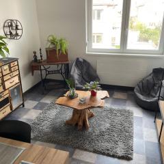 Appartement 70m2 dans maison avec jardin