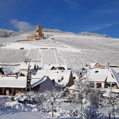 Sur la Route des Vins- très proche Colmar