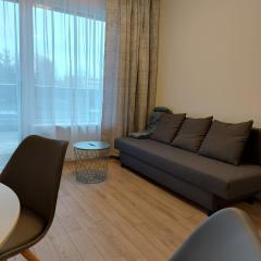 2 kambarių butas ramioje vietoje