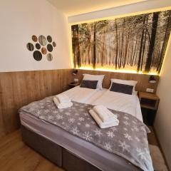 VilaJahor Natasa A11