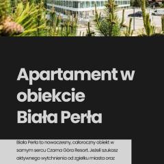 Biała Perła Czarna Góra Resort Apartament 102