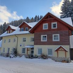 Apartmány Lékařský dům