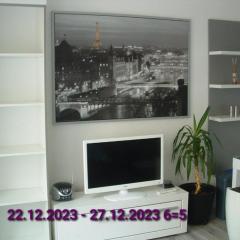 ナイス アパートメンツ プラハ（Nice Apartments Prague）