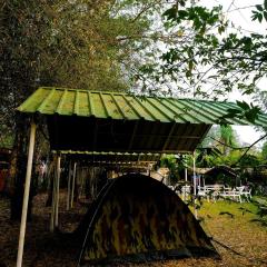 Dandeli Wild Jungle Resort