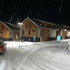 Lipno Apartments BERGMAX, Ski Areál Lipno 16min dojezd - Resort Malé Lipno s terasou a zahrádkou, parking free