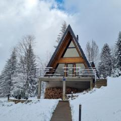 Gorska bajka - Tisa, planinska kuća za odmor i wellness