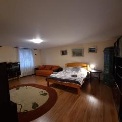R Castle - 2 room apartment