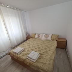 Apartament 2 camere Brazda lui Novac
