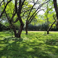 Boma Park Outdoor Event Space